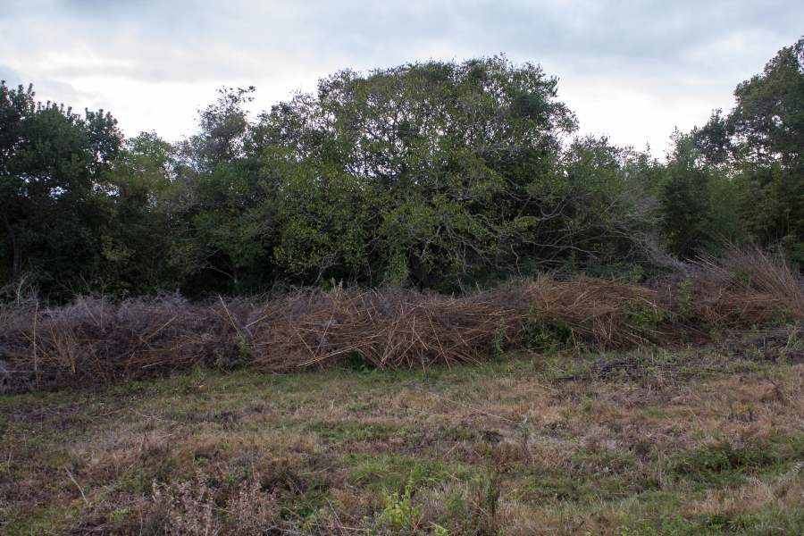 0 Bedroom Property for Sale in Bathurst Eastern Cape